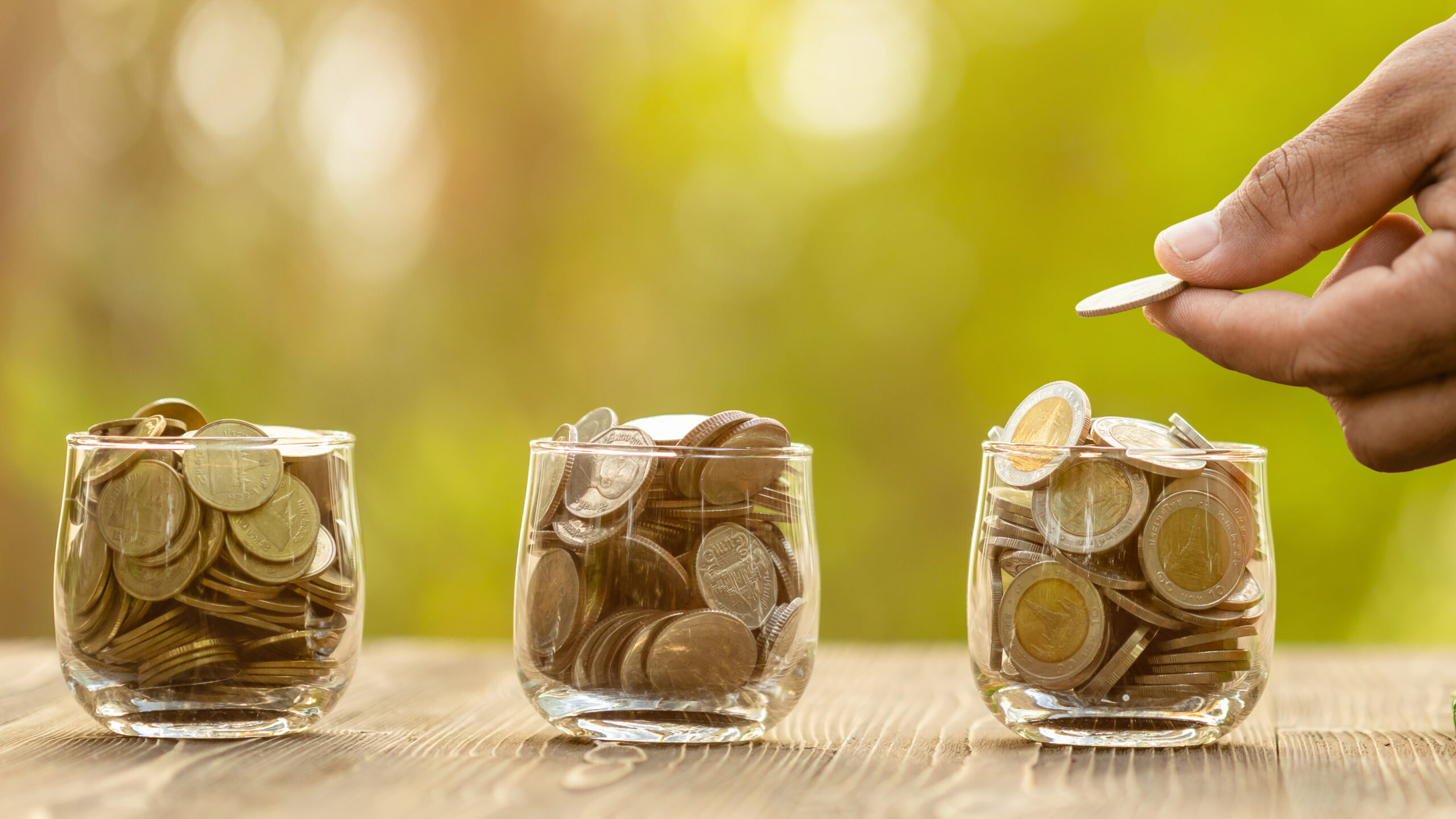 Coin in clear jar and piggy bank (Home Model) on green nature bl